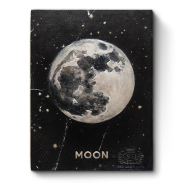 Moonです₊⁎⁺˳✧༚ LE22-07