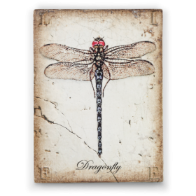 Transformation (Pink)