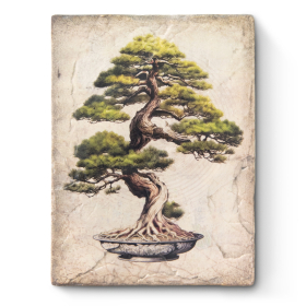 Bonsai Spirit 