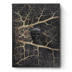 Heartroot Noir