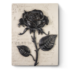 Black Everlasting Rose