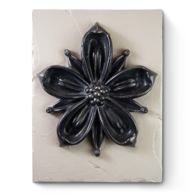 Black Cosmopolitan Flower