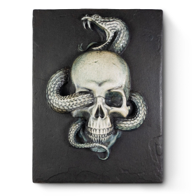 Skull & Snake