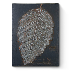 Leaf