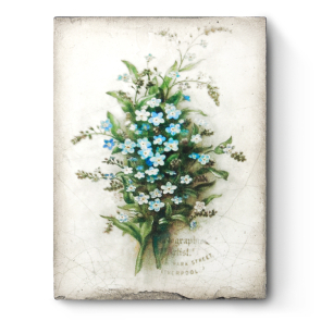 Forget Me Not