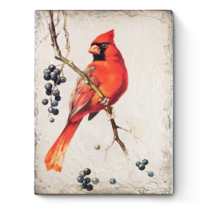 Red Cardinal