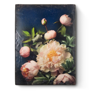 Peony Grace