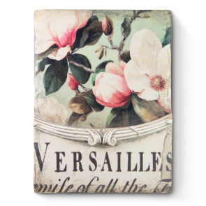 Versailles Magnolie