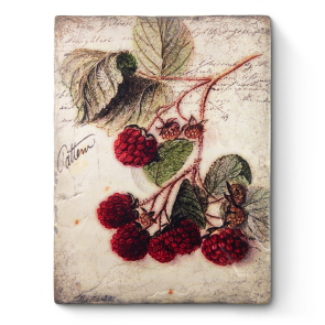 Scarlet Bramble