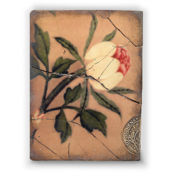 Peonyページ Peony - Garden of Light Collection