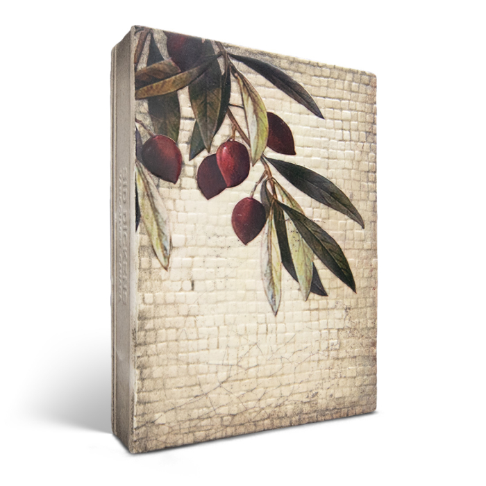 T603 Olive Tree