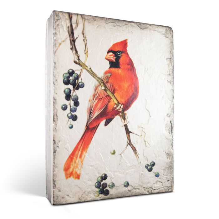T638 Red Cardinal
