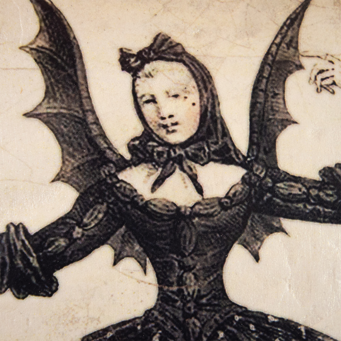 T683 - Nocturnal Queen